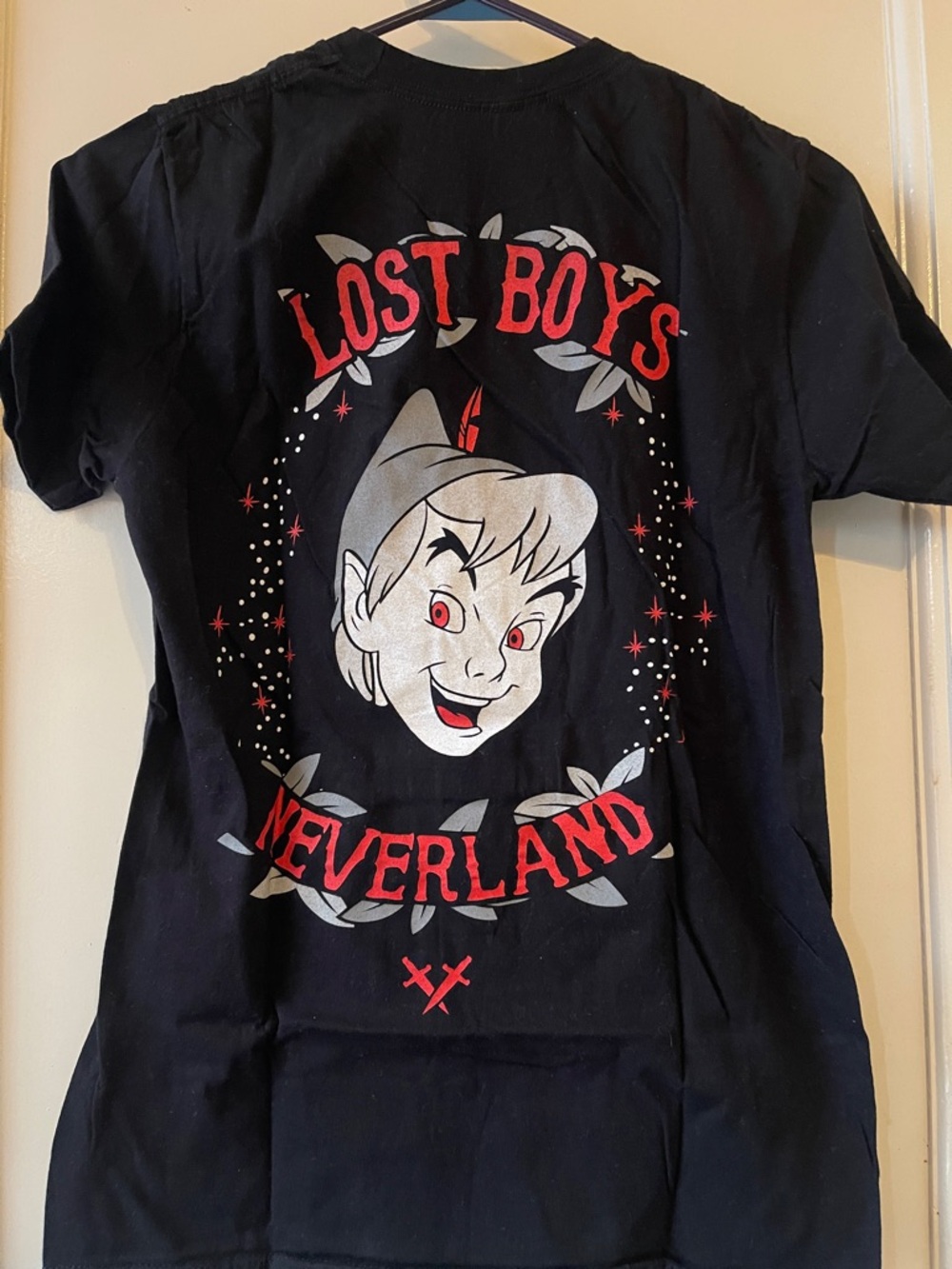 Disney Peter Pan Lost Boys Neverland Graphic Tee